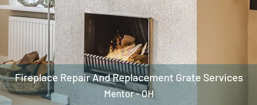  Fireplace Repair And Replacement Grate Services Mentor - OH