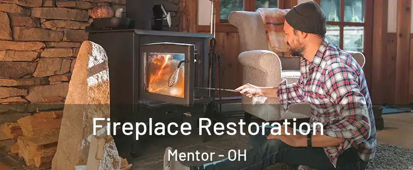  Fireplace Restoration Mentor - OH
