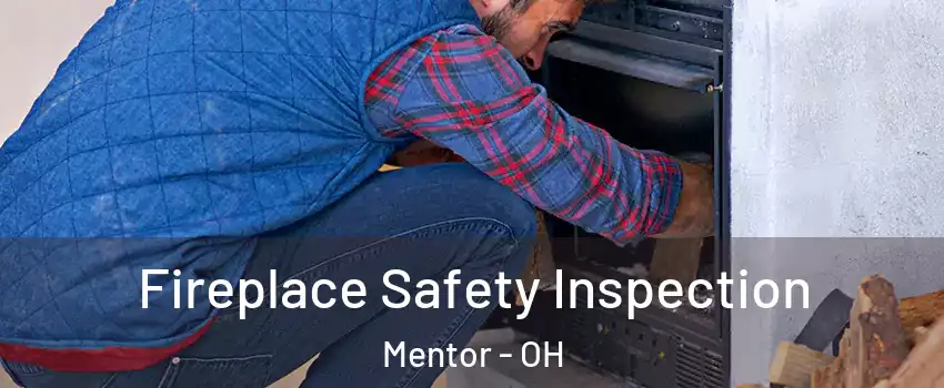  Fireplace Safety Inspection Mentor - OH