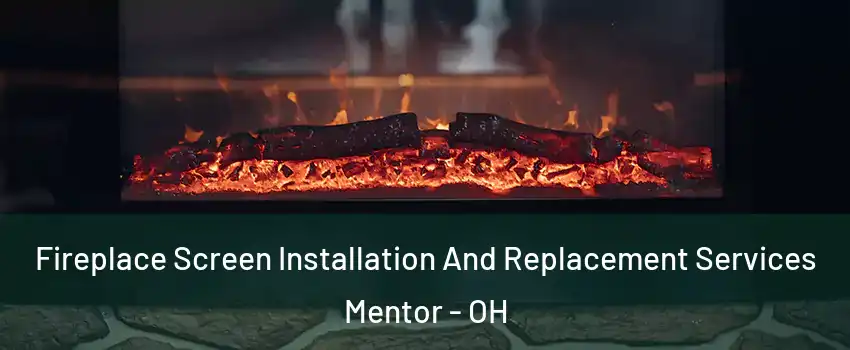  Fireplace Screen Installation And Replacement Services Mentor - OH
