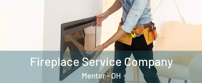  Fireplace Service Company Mentor - OH