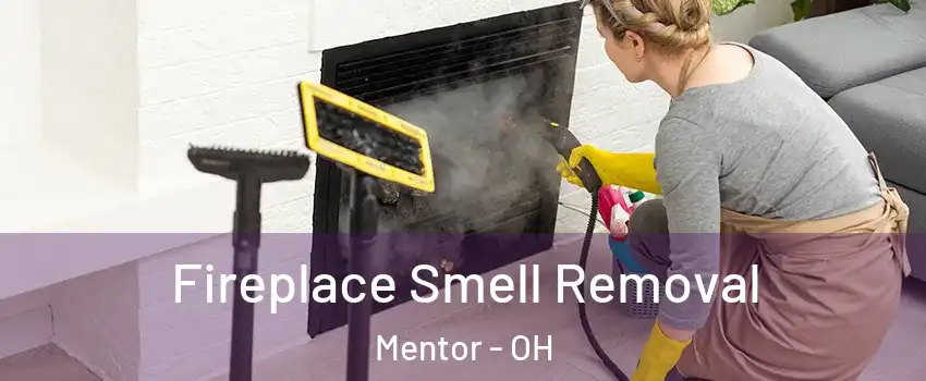  Fireplace Smell Removal Mentor - OH