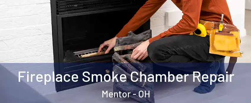  Fireplace Smoke Chamber Repair Mentor - OH