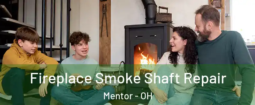  Fireplace Smoke Shaft Repair Mentor - OH