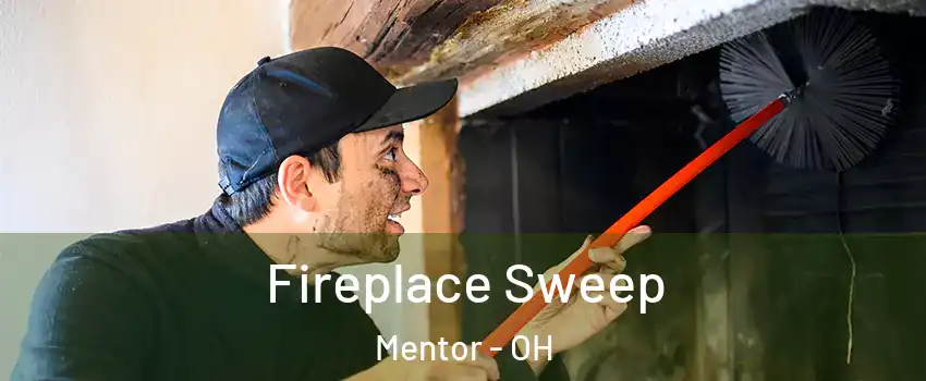  Fireplace Sweep Mentor - OH