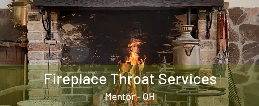  Fireplace Throat Services Mentor - OH