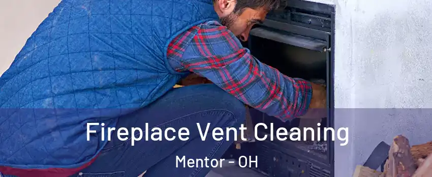  Fireplace Vent Cleaning Mentor - OH