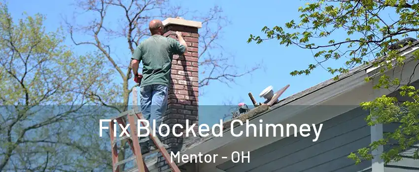  Fix Blocked Chimney Mentor - OH