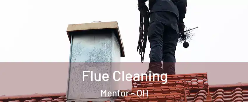  Flue Cleaning Mentor - OH