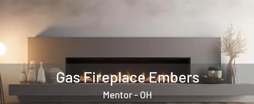  Gas Fireplace Embers Mentor - OH