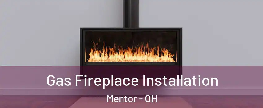  Gas Fireplace Installation Mentor - OH