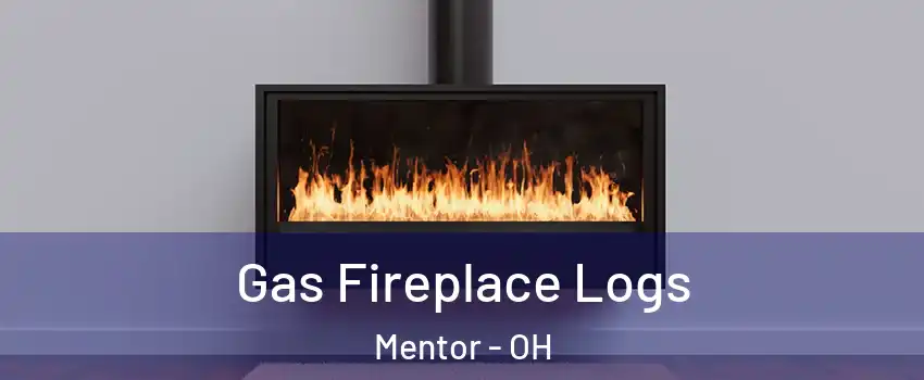 Gas Fireplace Logs Mentor - OH