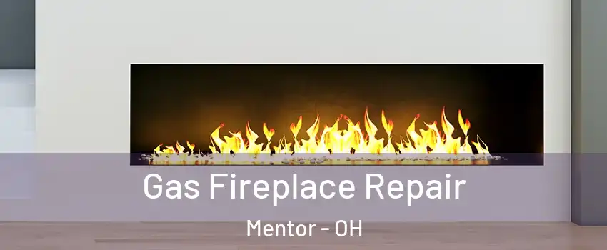  Gas Fireplace Repair Mentor - OH