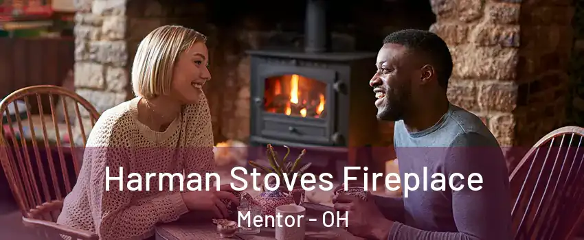  Harman Stoves Fireplace Mentor - OH