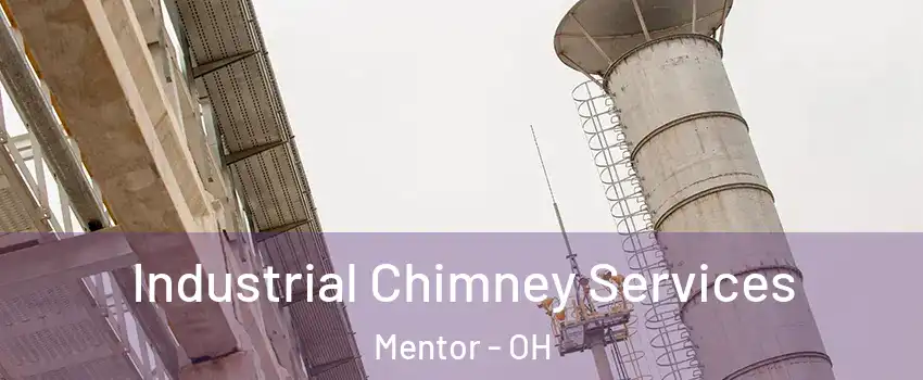  Industrial Chimney Services Mentor - OH