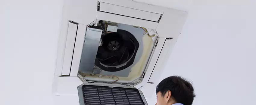 Benefits of Professional Air Duct Cleaning in Mentor, Ohio