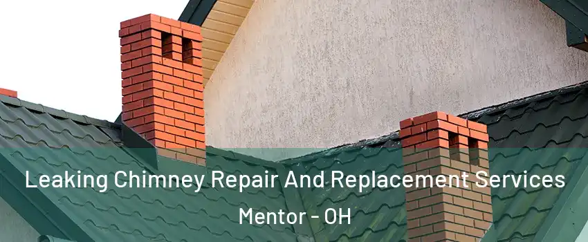  Leaking Chimney Repair And Replacement Services Mentor - OH