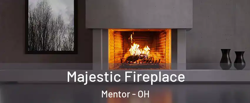  Majestic Fireplace Mentor - OH
