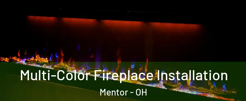  Multi-Color Fireplace Installation Mentor - OH