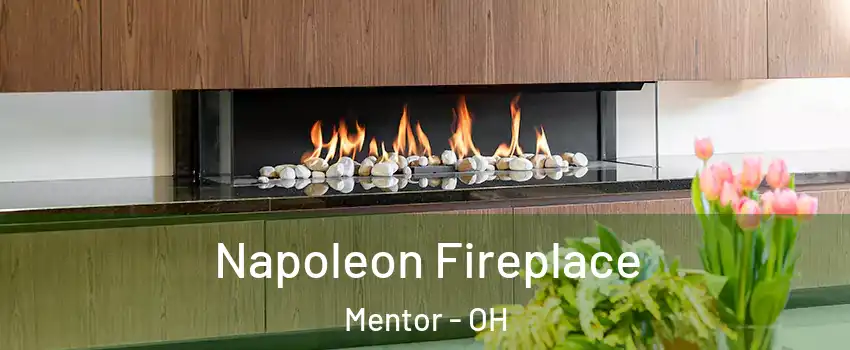  Napoleon Fireplace Mentor - OH