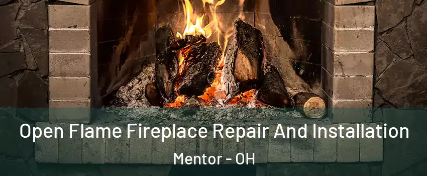  Open Flame Fireplace Repair And Installation Mentor - OH