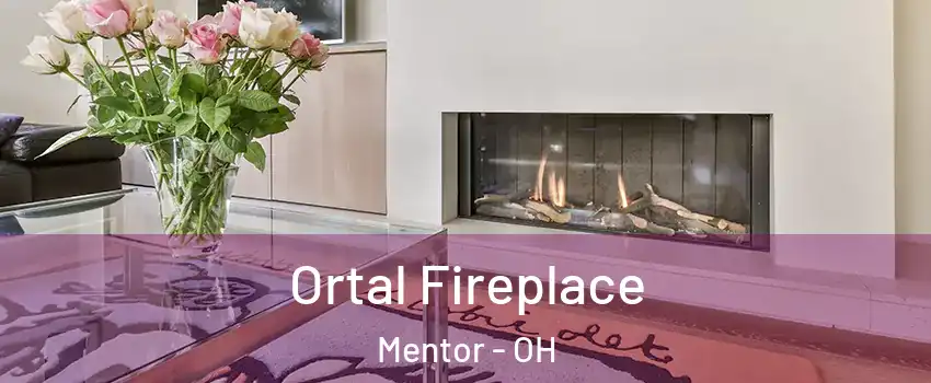 Ortal Fireplace Mentor - OH