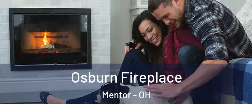  Osburn Fireplace Mentor - OH