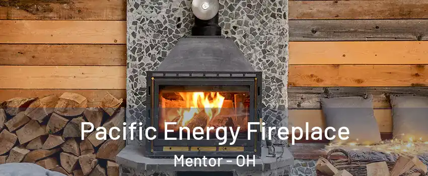  Pacific Energy Fireplace Mentor - OH