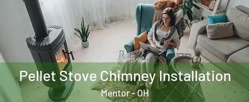  Pellet Stove Chimney Installation Mentor - OH