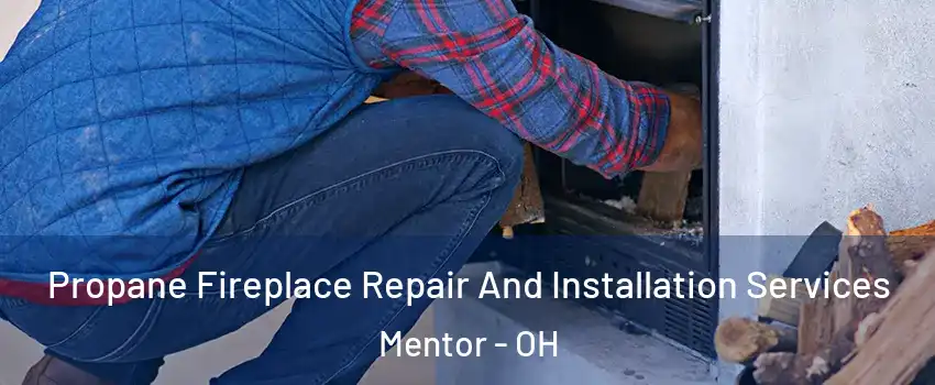  Propane Fireplace Repair And Installation Services Mentor - OH