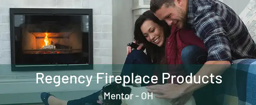  Regency Fireplace Products Mentor - OH