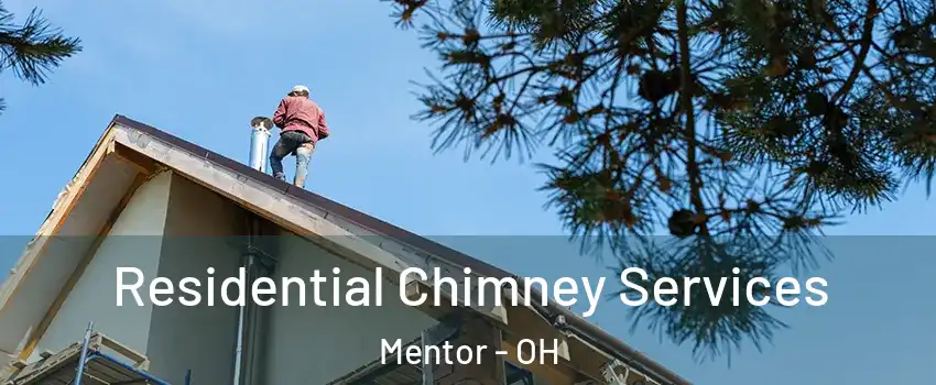  Residential Chimney Services Mentor - OH