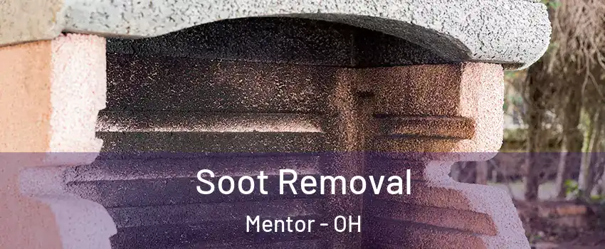  Soot Removal Mentor - OH