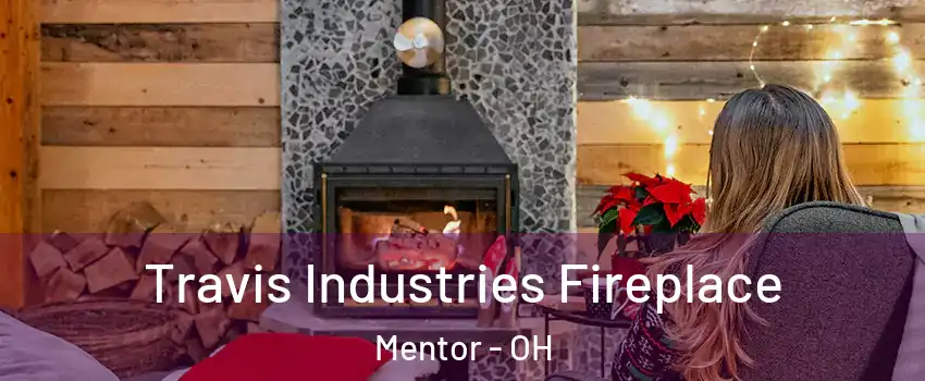  Travis Industries Fireplace Mentor - OH