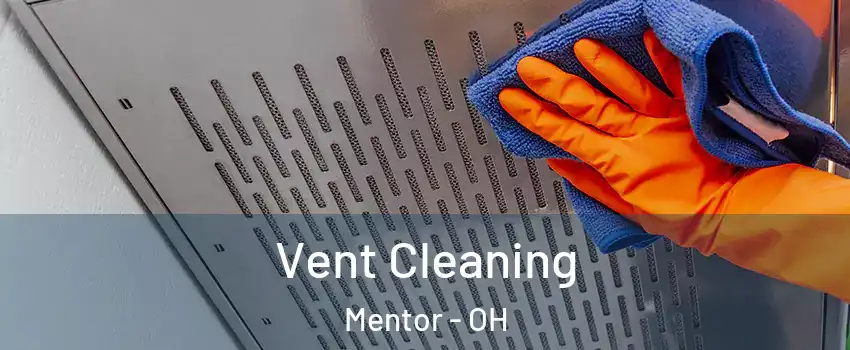  Vent Cleaning Mentor - OH