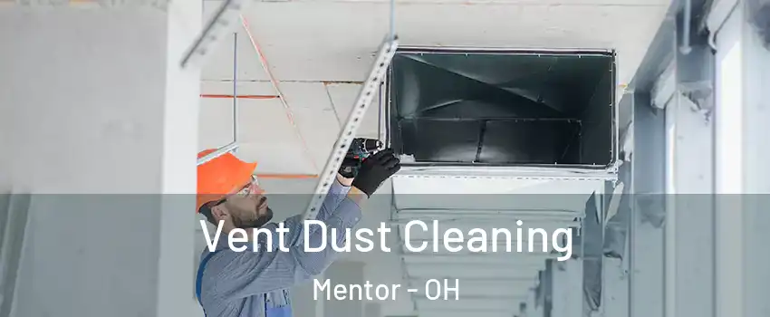  Vent Dust Cleaning Mentor - OH