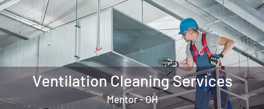  Ventilation Cleaning Services Mentor - OH