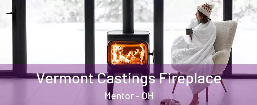  Vermont Castings Fireplace Mentor - OH