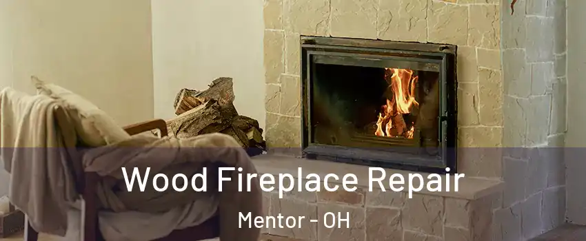  Wood Fireplace Repair Mentor - OH