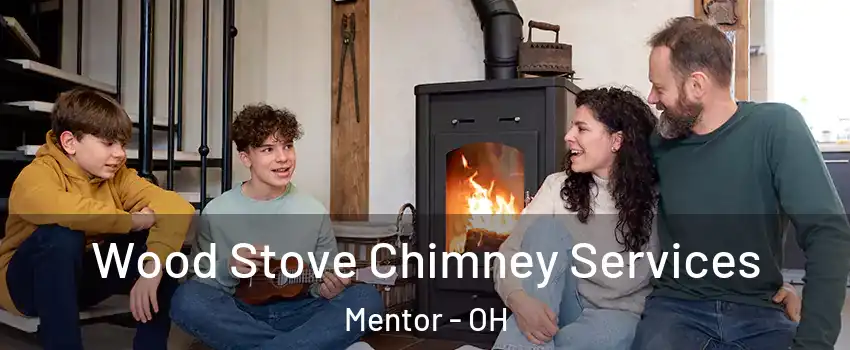  Wood Stove Chimney Services Mentor - OH