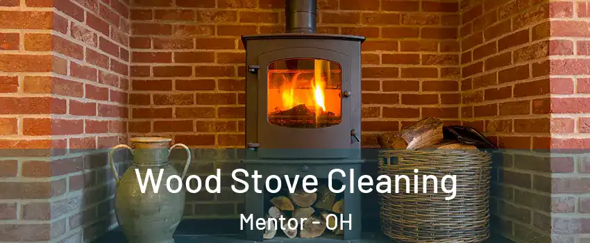  Wood Stove Cleaning Mentor - OH
